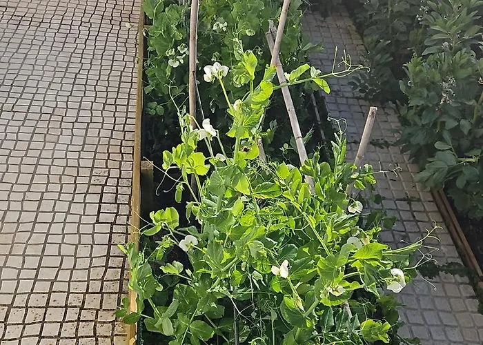 Casa Do Aconchego Em Ferienhaus Freiria